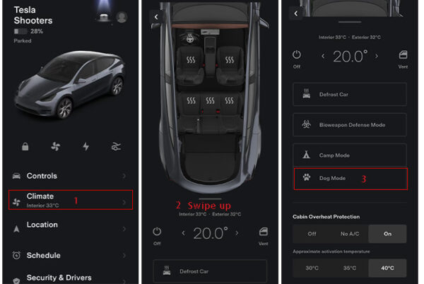 Tesla Dog Mode - Everything You Should Know
